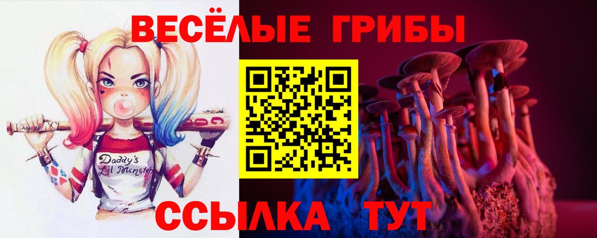 Галлюциногенные грибы Cubensis  Вход с VPN  Елабуга  купить наркоту  Псилоцибиновые грибы Cubensis 